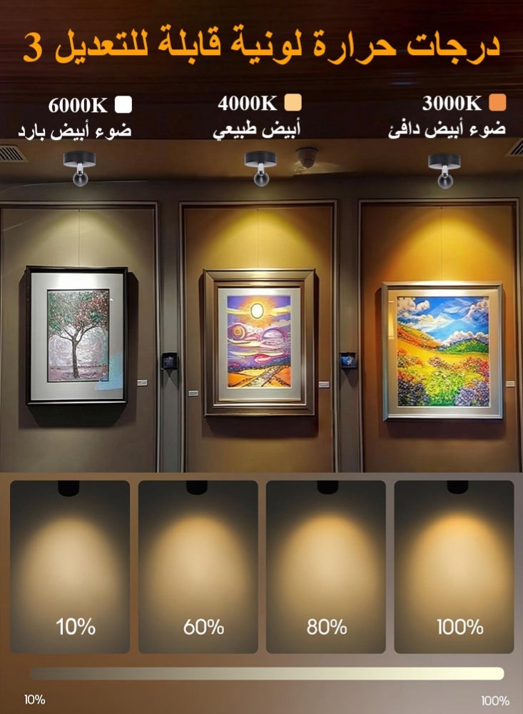 فلوكسهوم عبوتان من كشاف LED داخلي قابل لإعادة الشحن، إضاءة جدارية فنية صغيرة لاسلكية مع جهاز تحكم عن بُعد ومؤقت قابل للتعديل، إضاءة علوية صغيرة قابلة للتعتيم لعرض النباتات واللوحات الفنية والصور والخزائن (أسود) - Image 3
